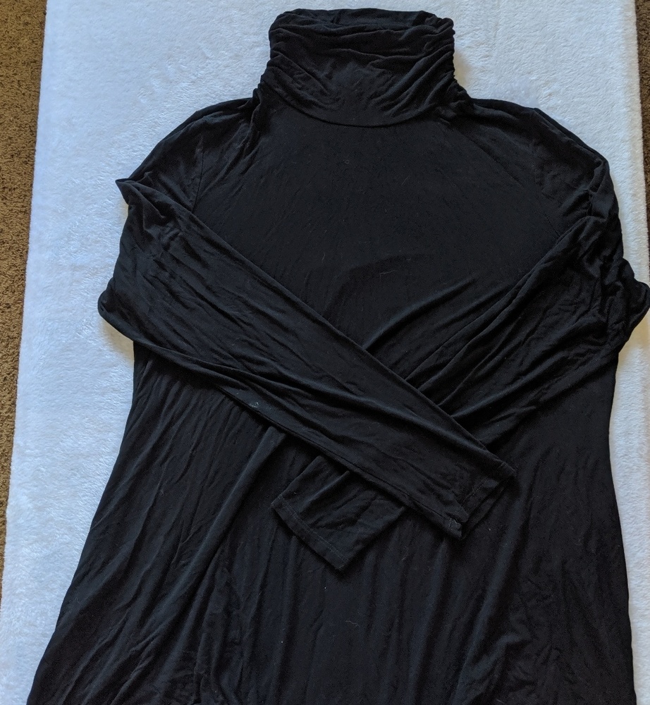 Long Elegant Legs Turtleneck Tunic Swing Top